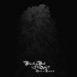 Xevnnizh : Black Bud